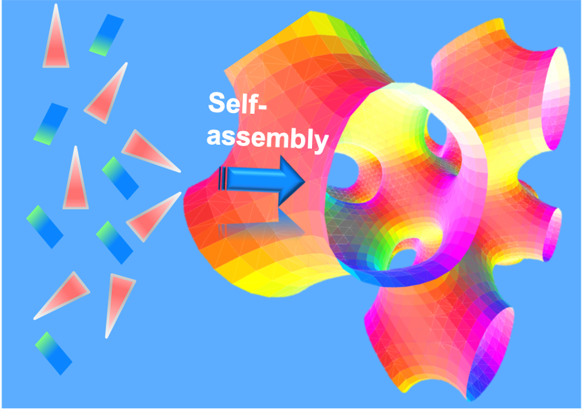 Self-assembly processes